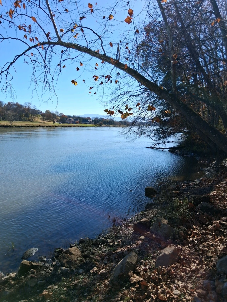 Image uploaded by BJ