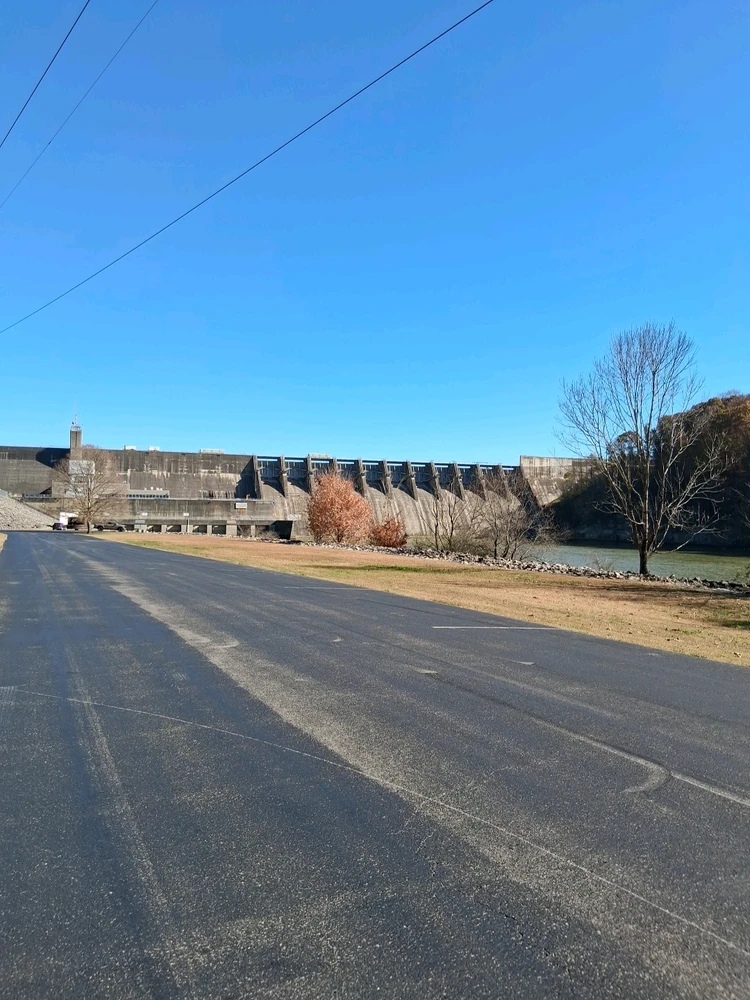 Image uploaded by BJ