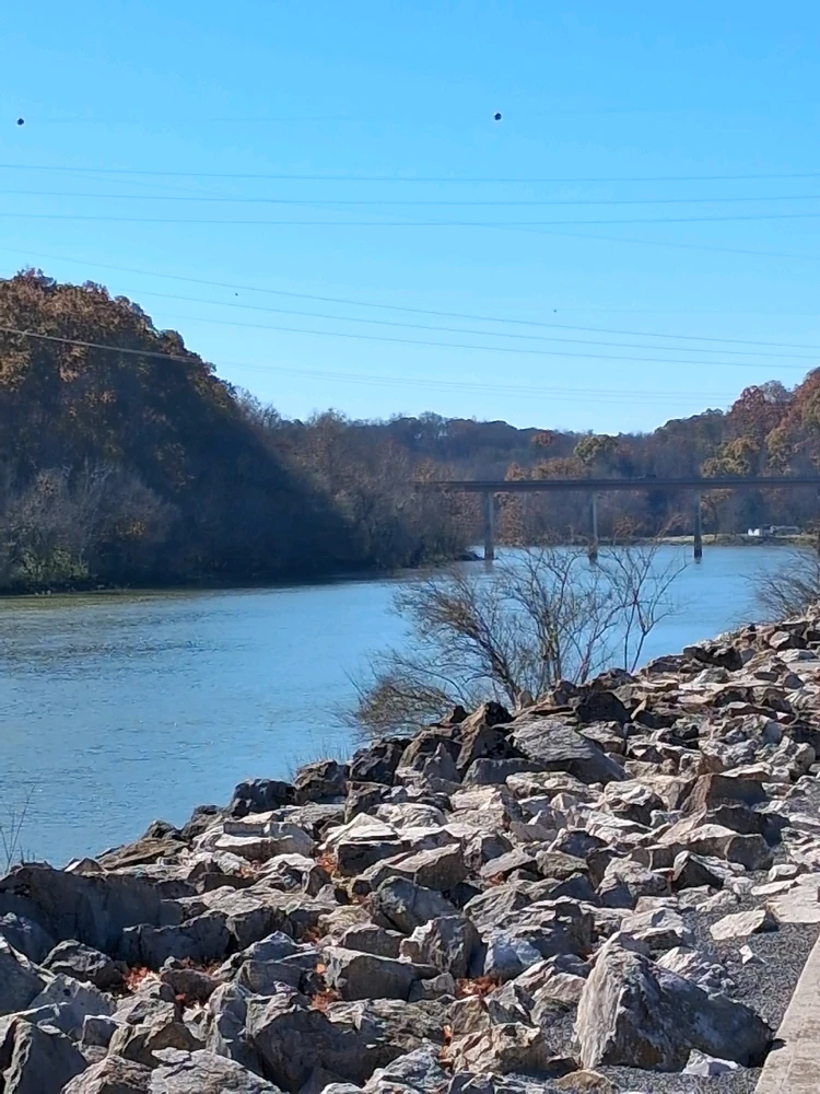 Image uploaded by BJ