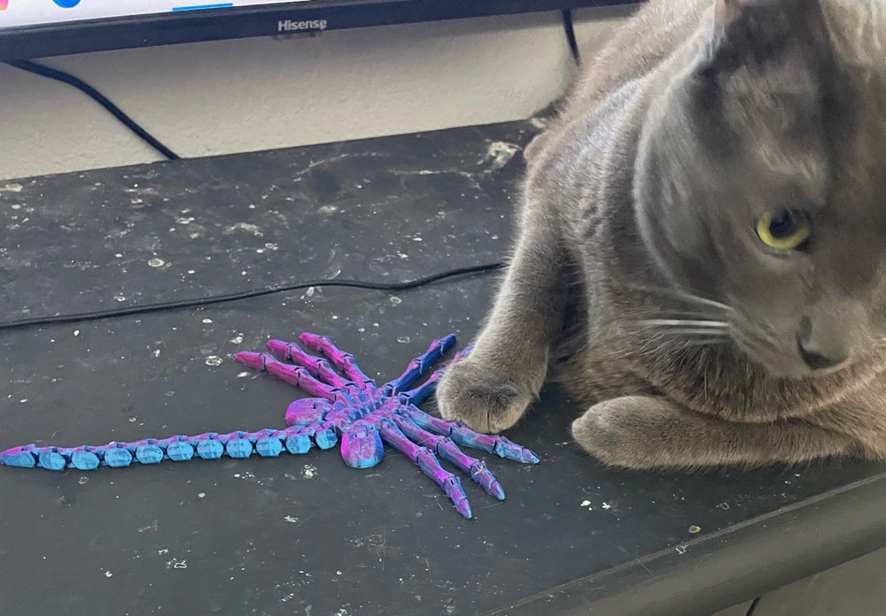 Image uploaded by Cody Cullison