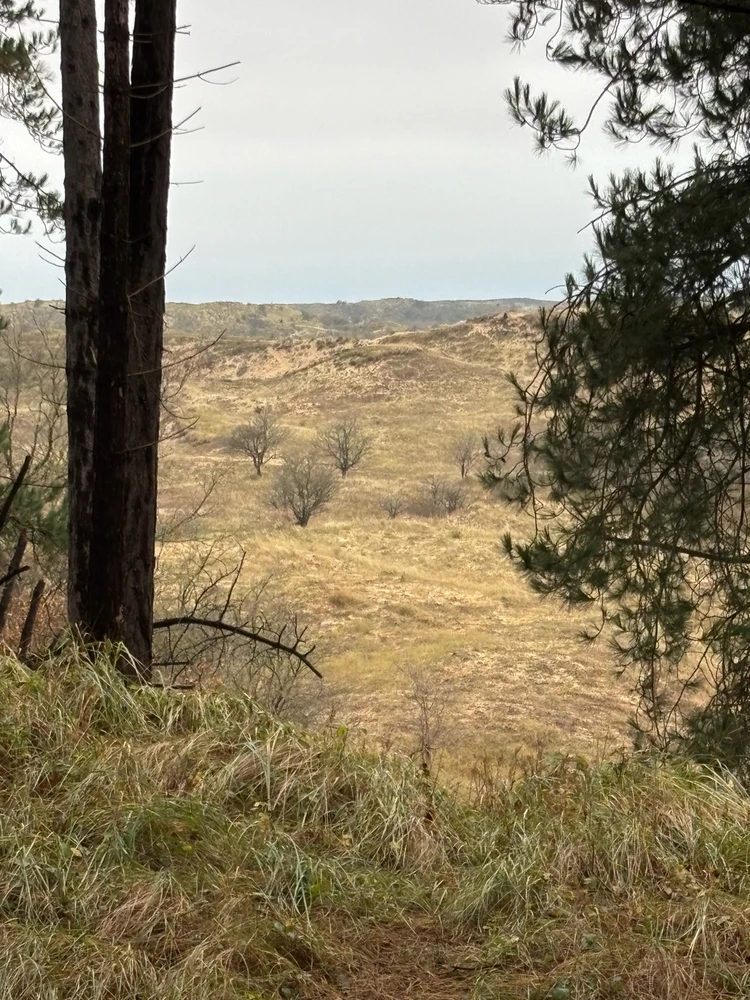 Afbeelding geüpload door Torres07