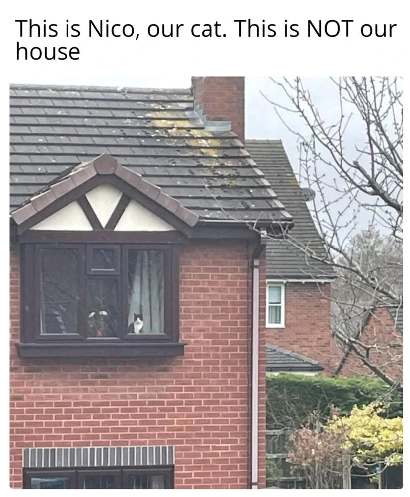 Correct 😌 It's his own house 😎