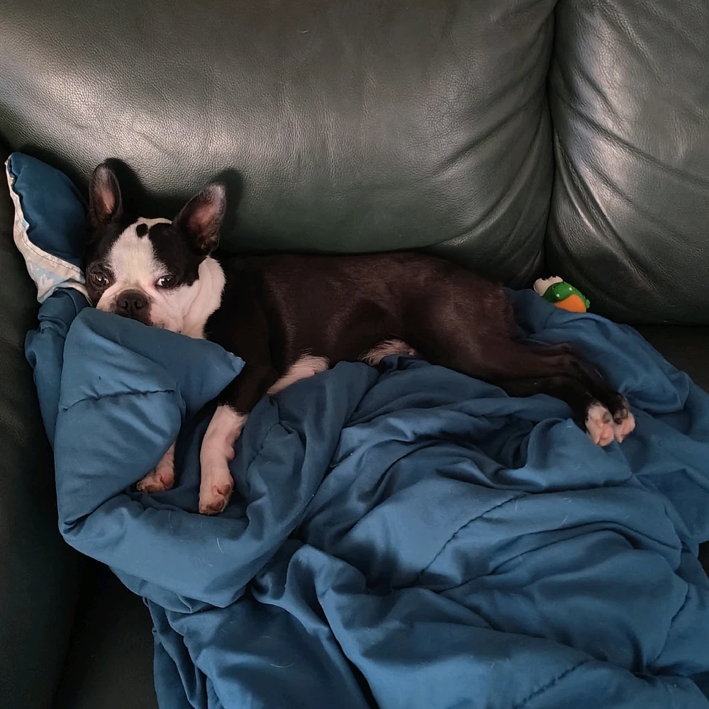 Relaxing on a rainy day