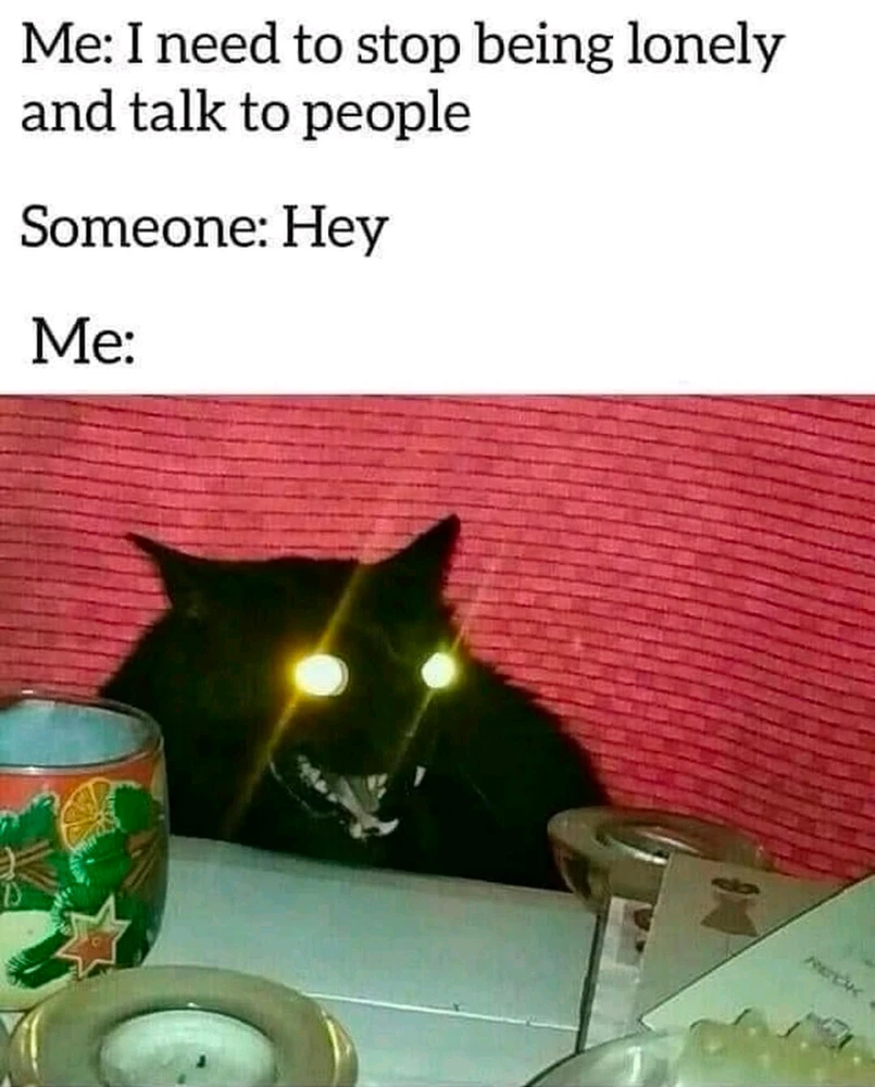 GIF uploaded by Anne