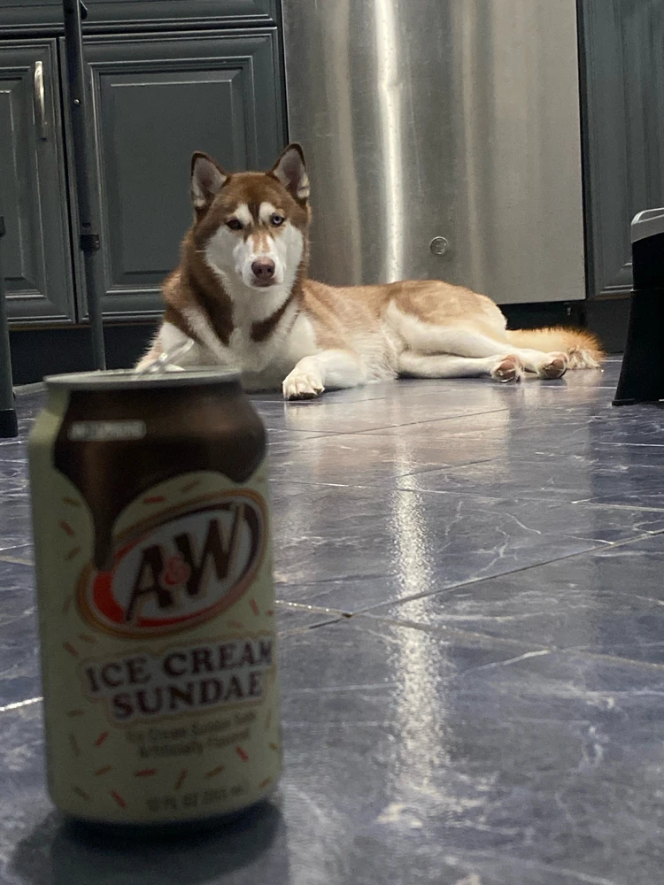 My lil ice cream sundae