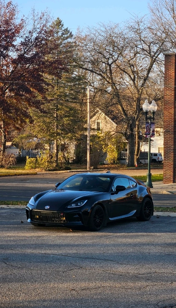 Professional salt dodger