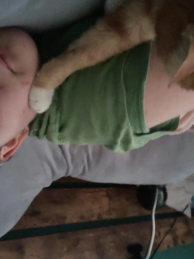 GIF gi-upload ni Dakota