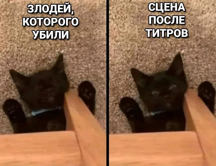 GIF загрузил Юлия