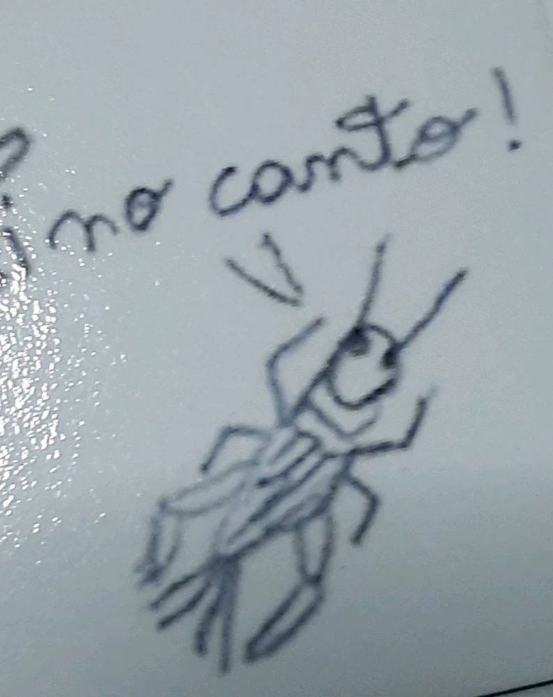 Cuando los grillos no cantan