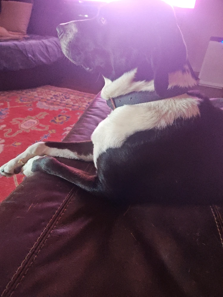 GIF uploaded by Bret
