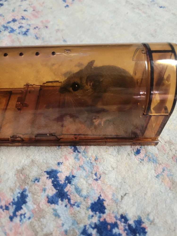 GIF uploaded by Caleb