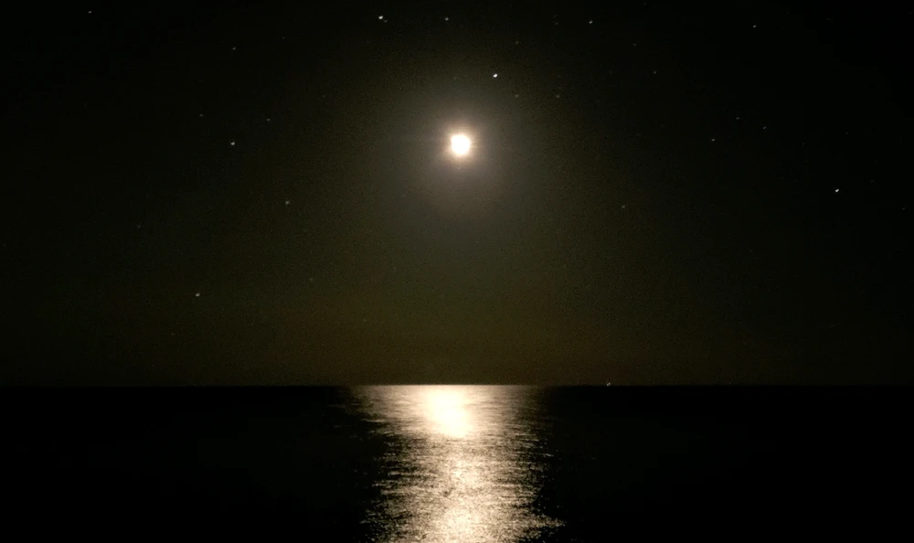 GIF uploaded by >ꋖꁏꋊꂖ(°~°)