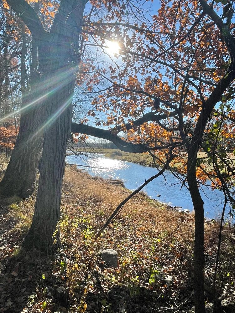 GIF uploaded by Robbie