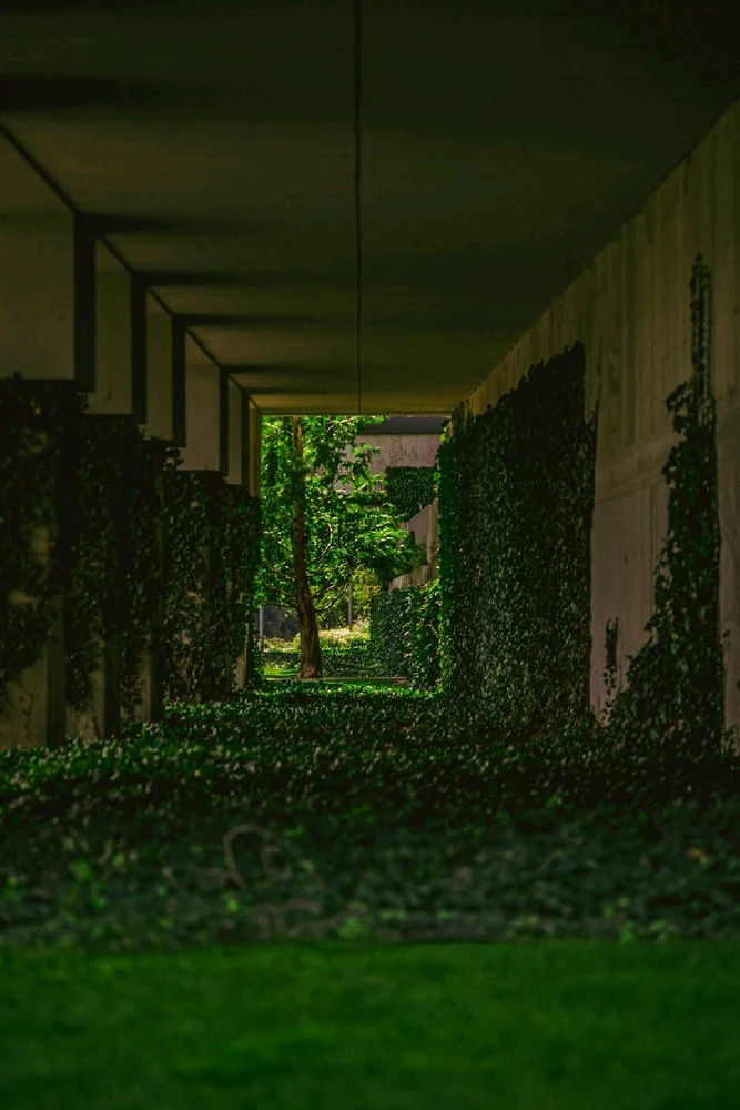 Obrázek nahrál František