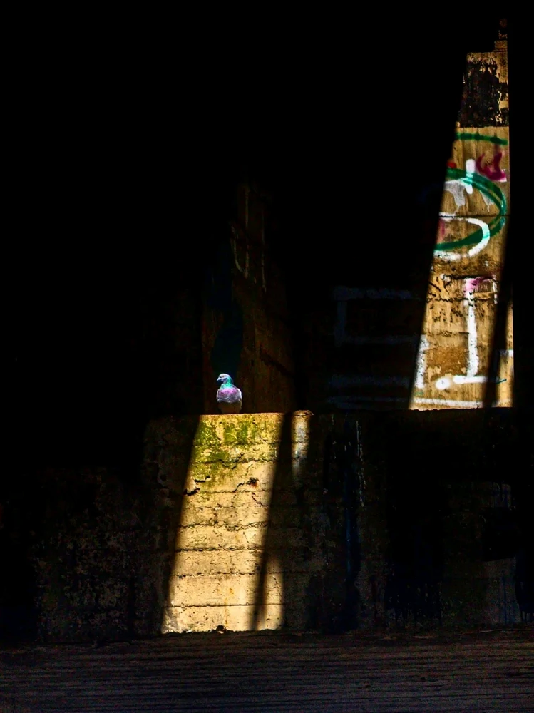 Obrázek nahrál František