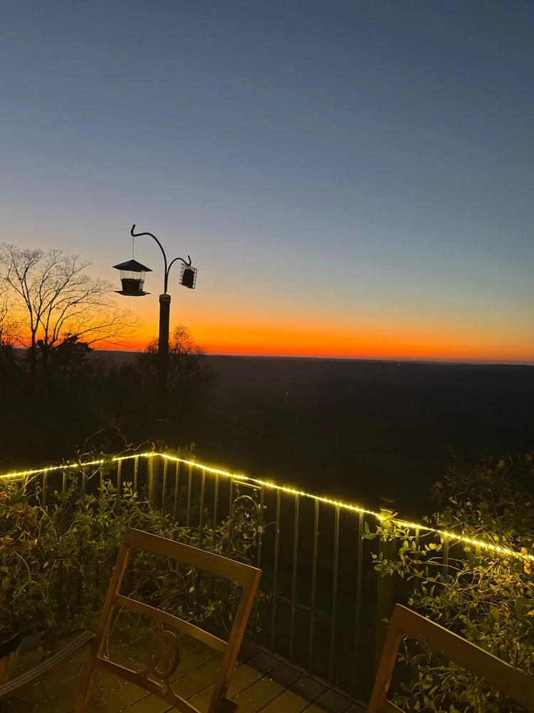 Image uploaded by Jon