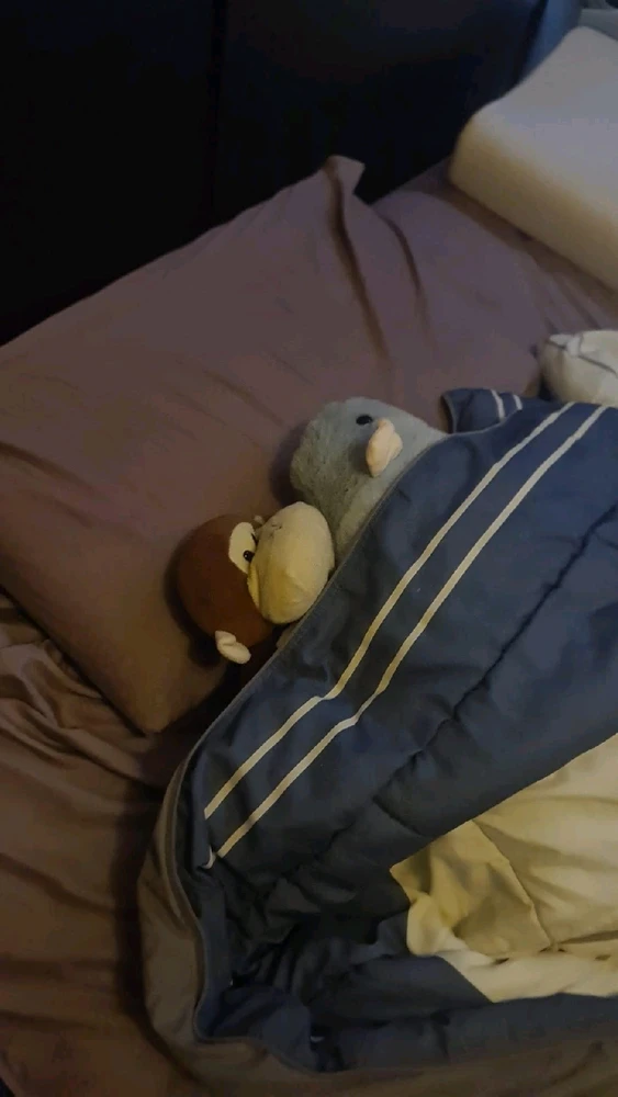 He is getting comfortable with my Monkey :,)