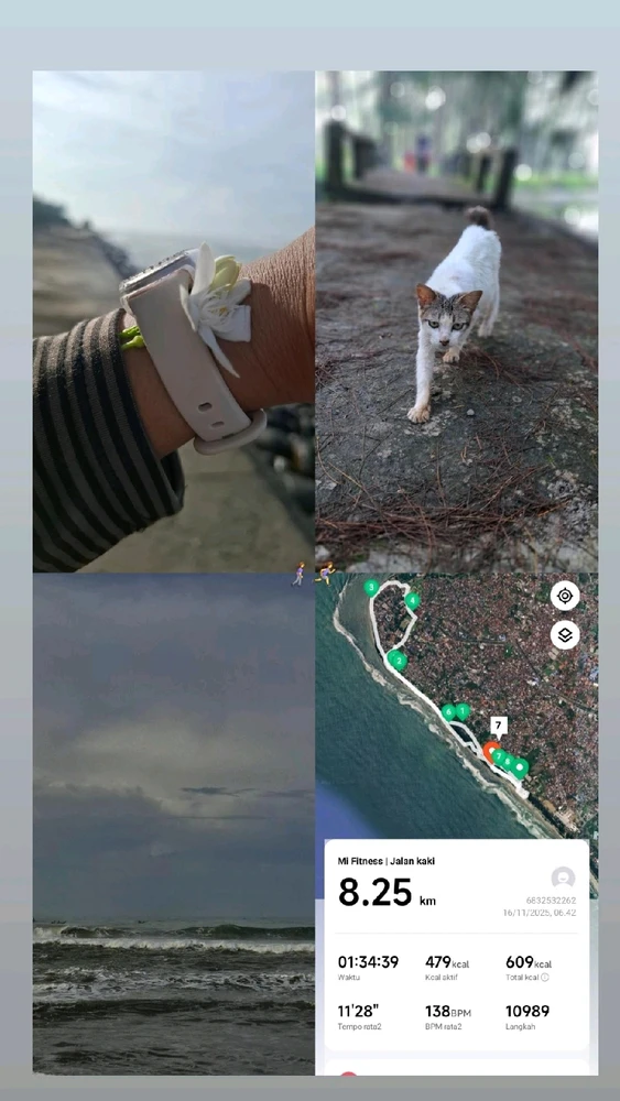 GIF diunggah oleh Meizi