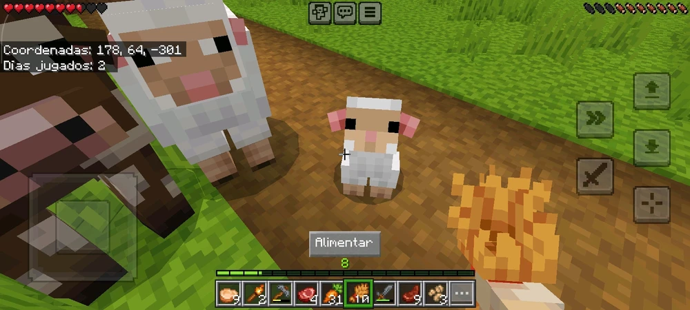 Un rato de Minecraft