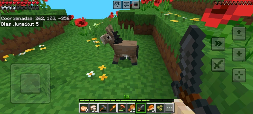 Un rato de Minecraft