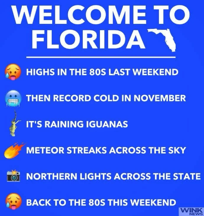 Memes number $&);{%#?<