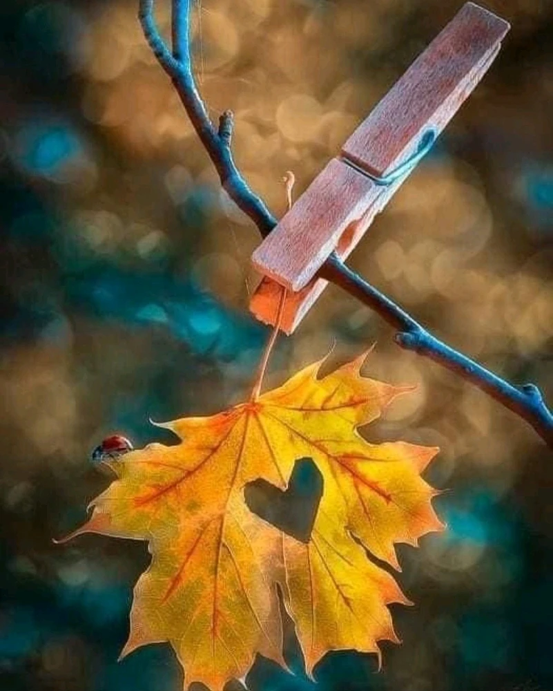 GIF diunggah dening 🔆🥨🔅Koffy🔅🌰🔆