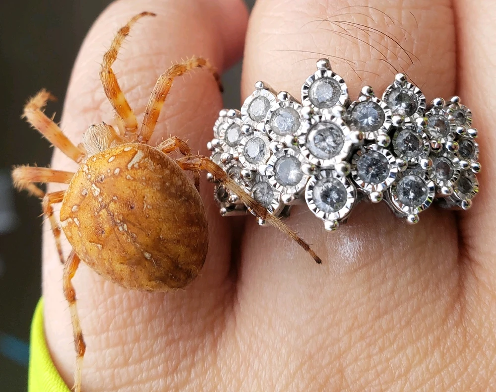 Image uploaded by Ari