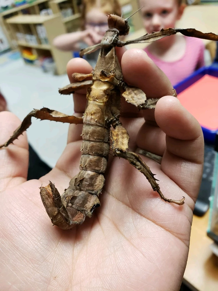 Image uploaded by Ari