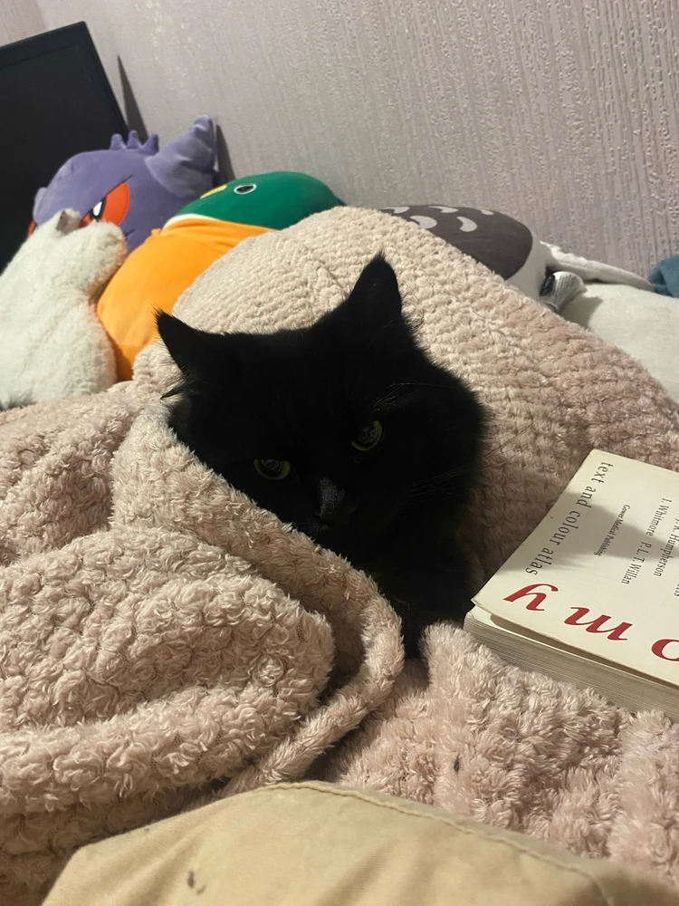 Image uploaded by Pyxis