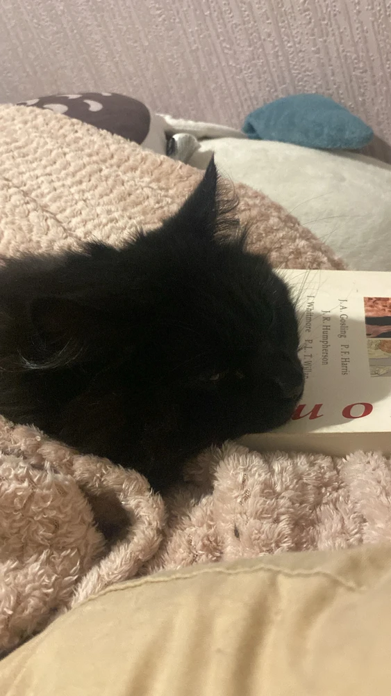 Image uploaded by Pyxis