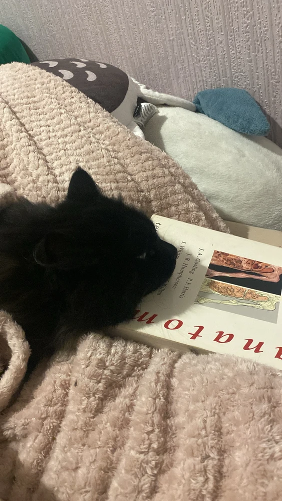 Image uploaded by Pyxis