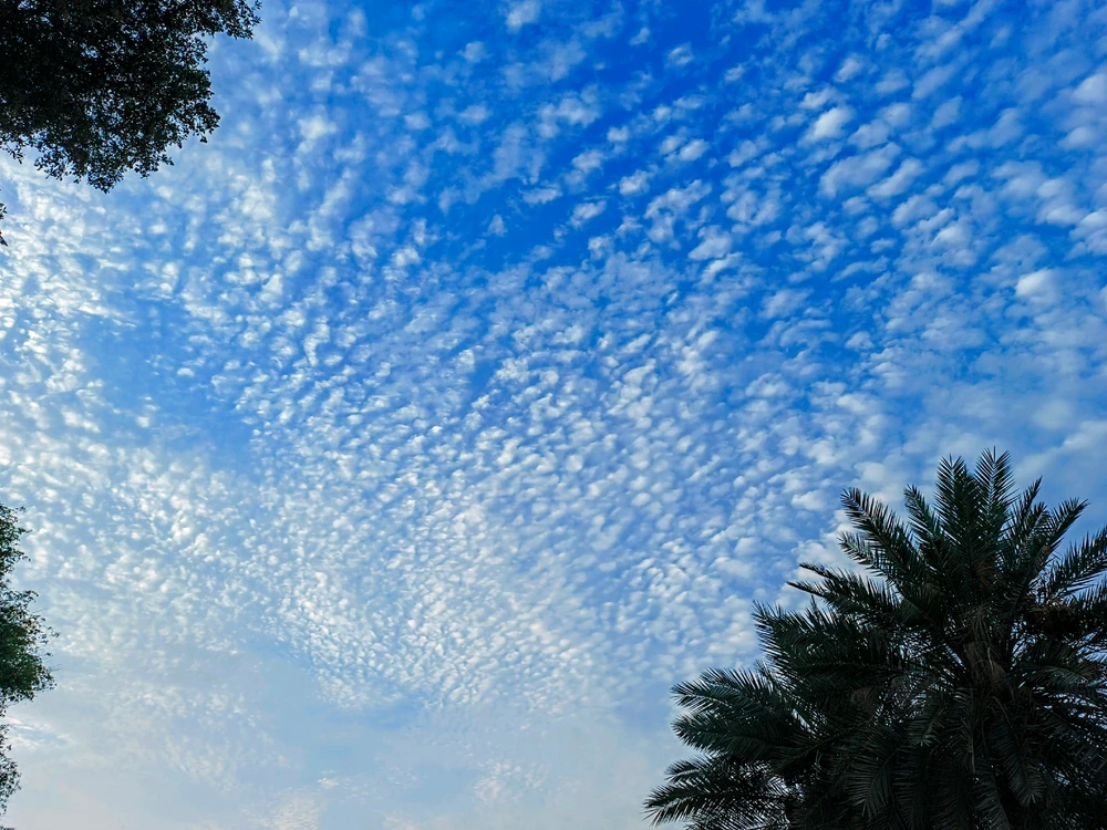 GIF uploaded by Joie