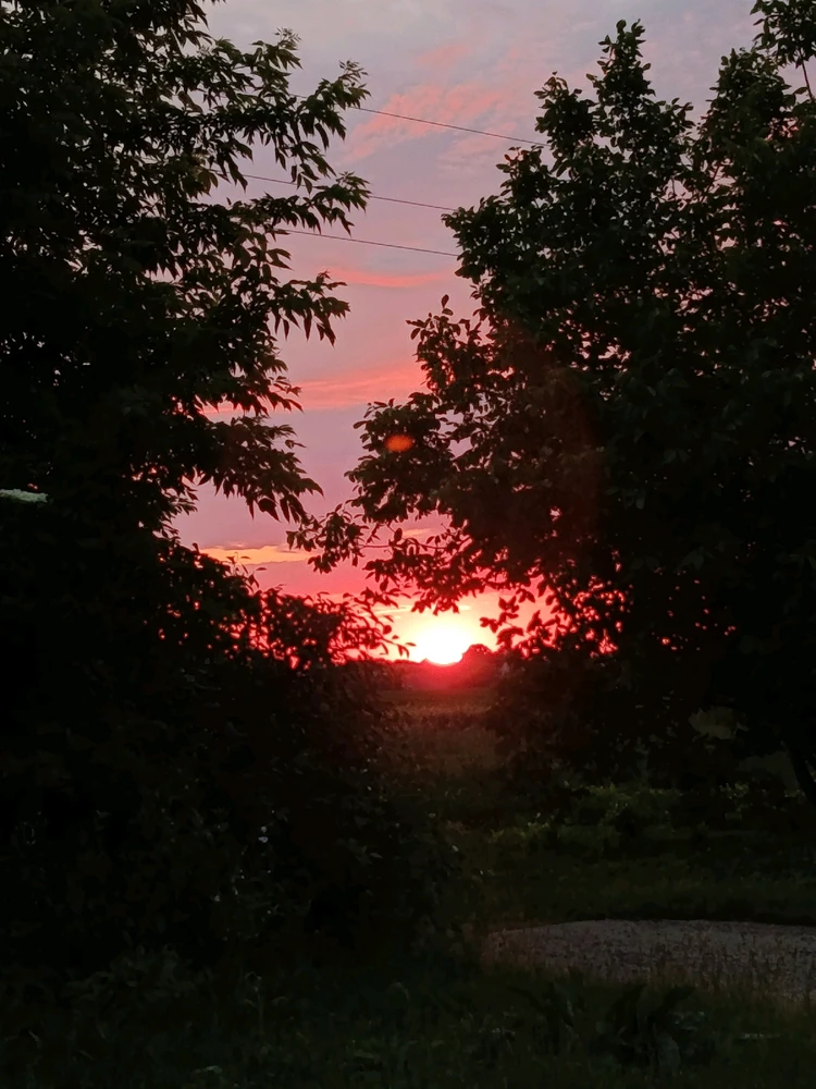 Фото загрузил Дима