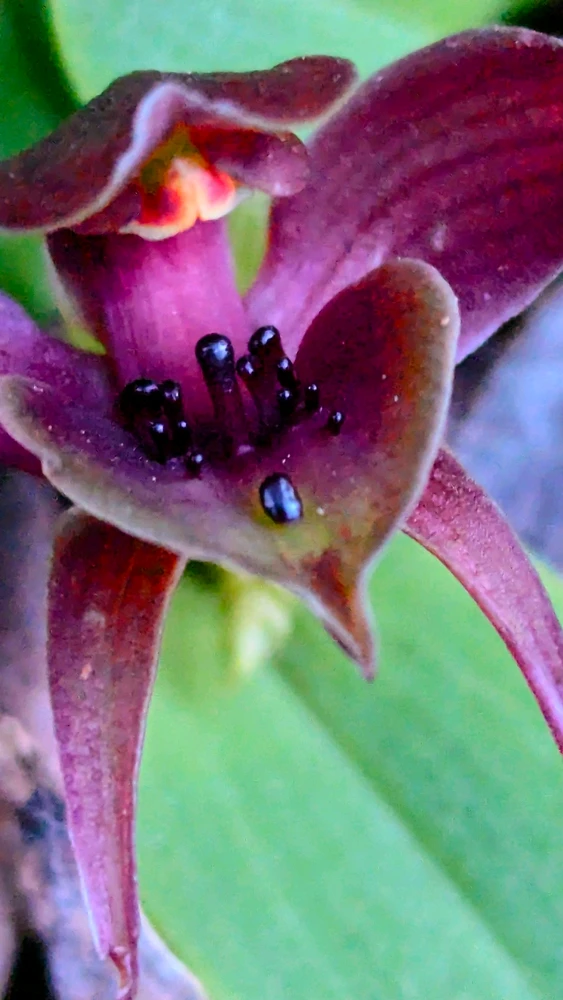 GIF uploaded by Chris