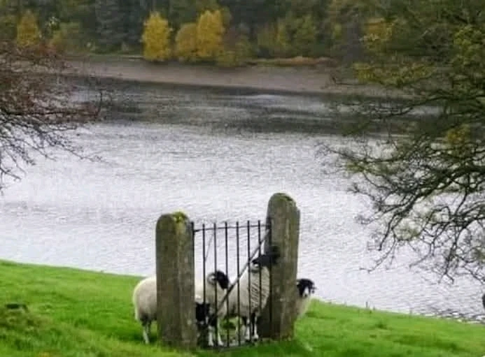 GIF ajouté par Dorian🐞