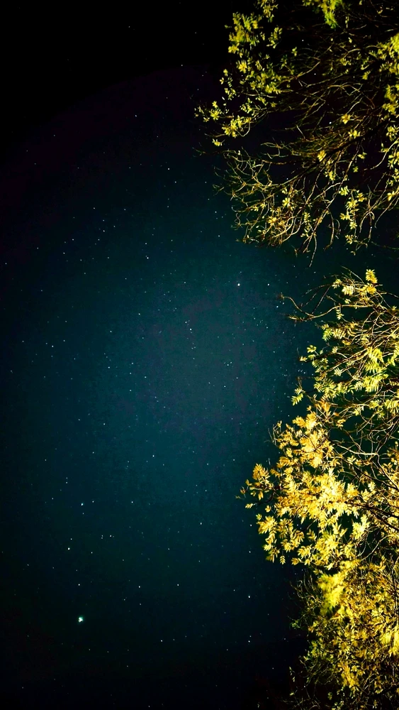 GIF uploaded by Sushil