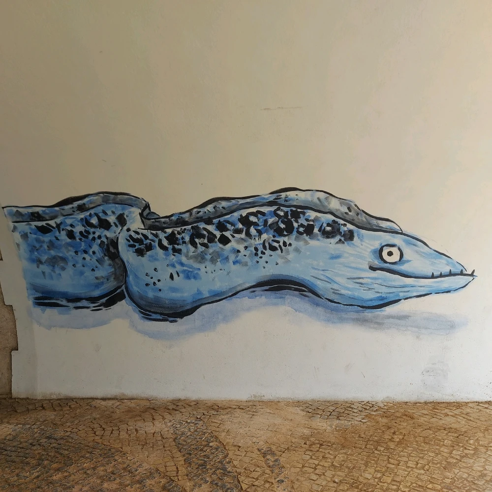 Graffiti Art Portugal