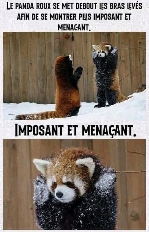 Un très bon dimanche à tous 😊