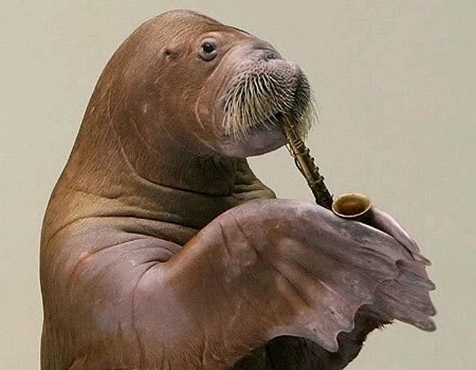 GIF dodany przez Umberto