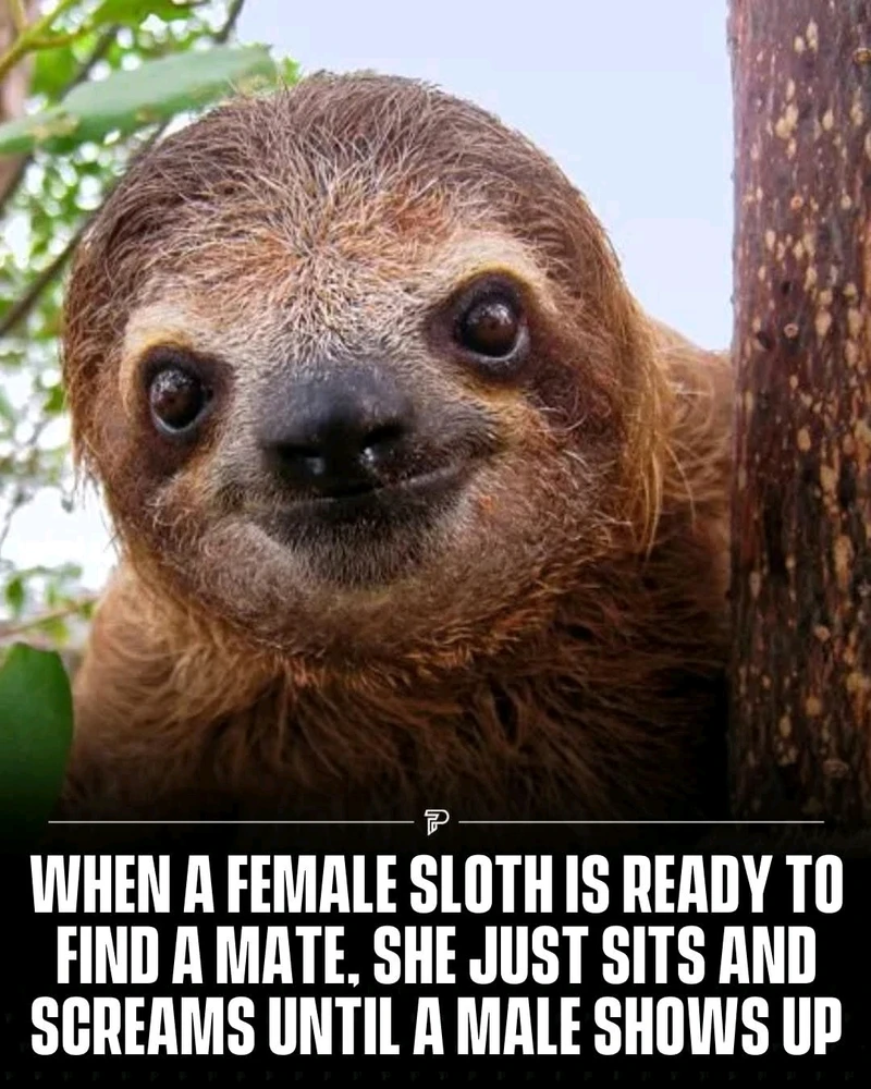 GIF hochgeladen von Anne (aka Kuschelbuubu - zeig mal etwas Respekt!!)