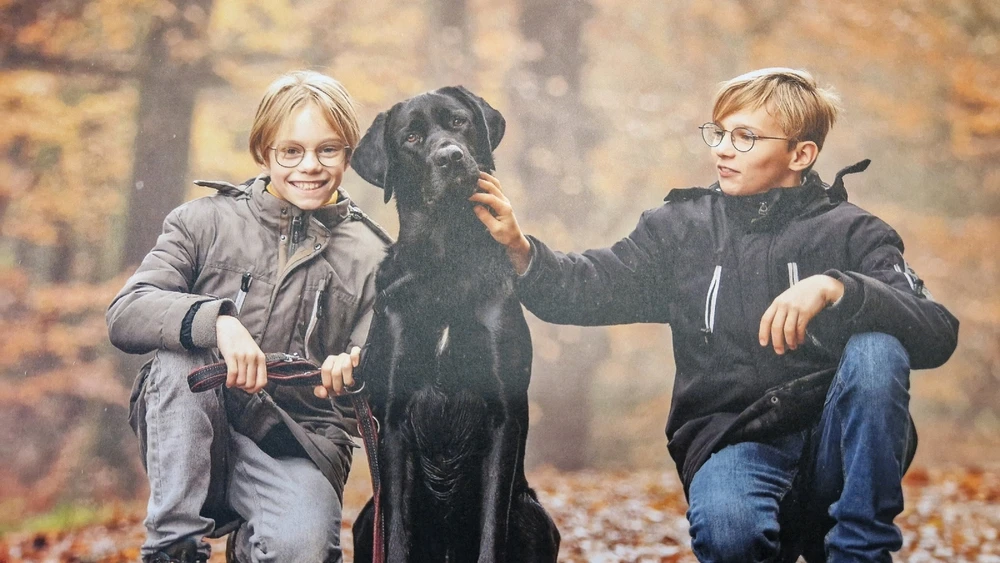 GIF hochgeladen von Rainer