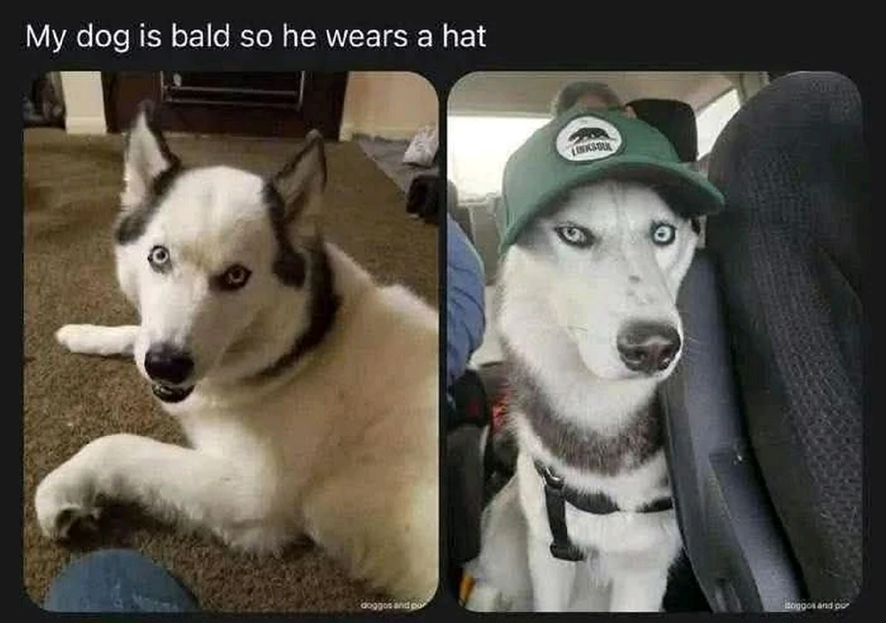 This post is dedicated to all the "hat people" 😘😂