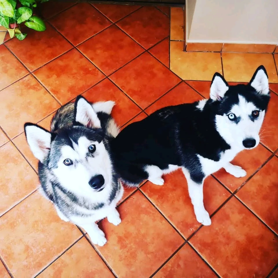 Fotku nahral/-a Patrik