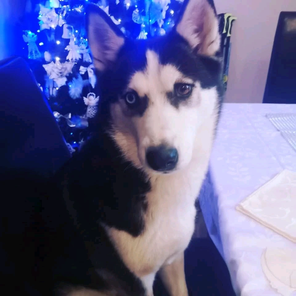 Fotku nahral/-a Patrik