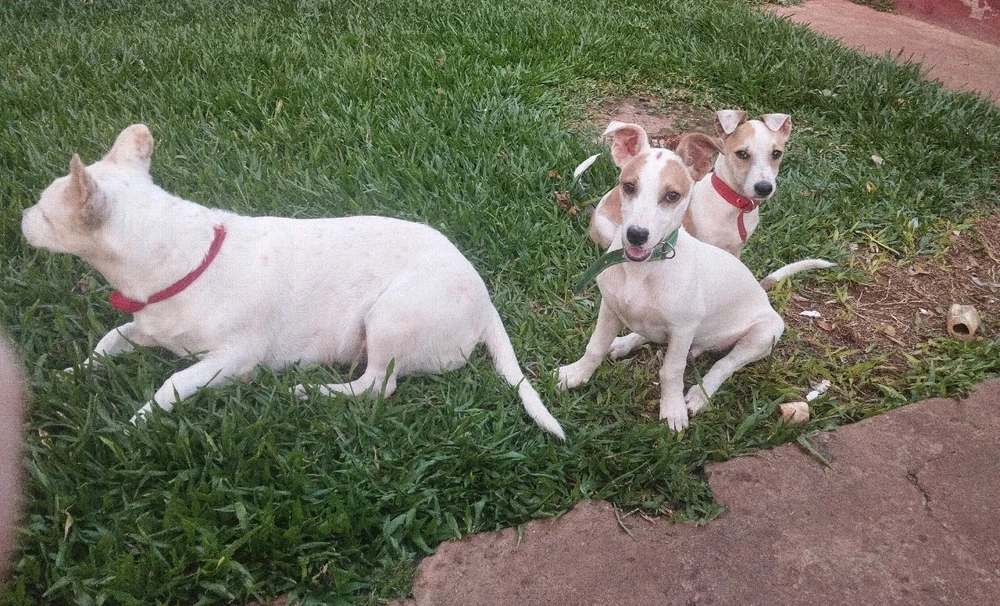 GIF uploaded by Catalina