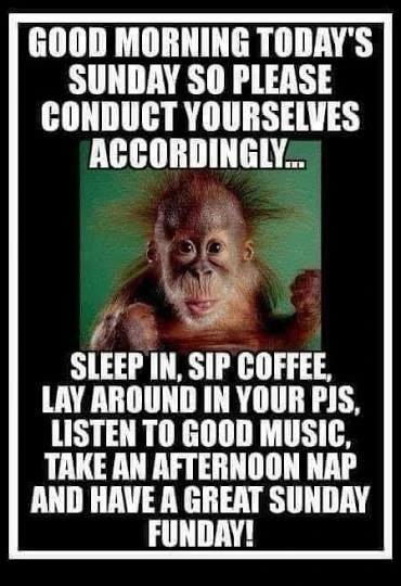 GIF uploaded by Heidi