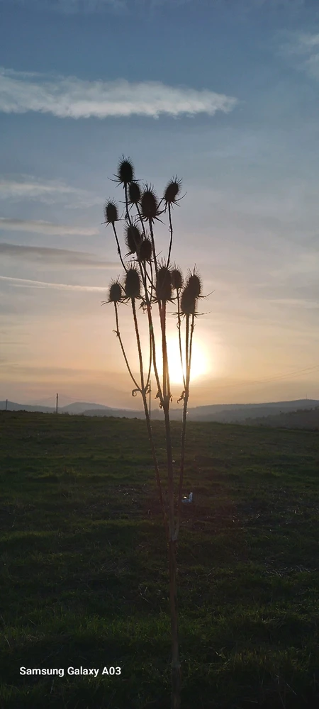 Image uploaded by Kas