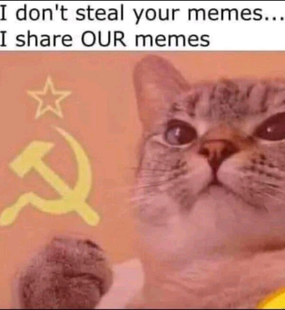 Me when stealing other people's memes π€£