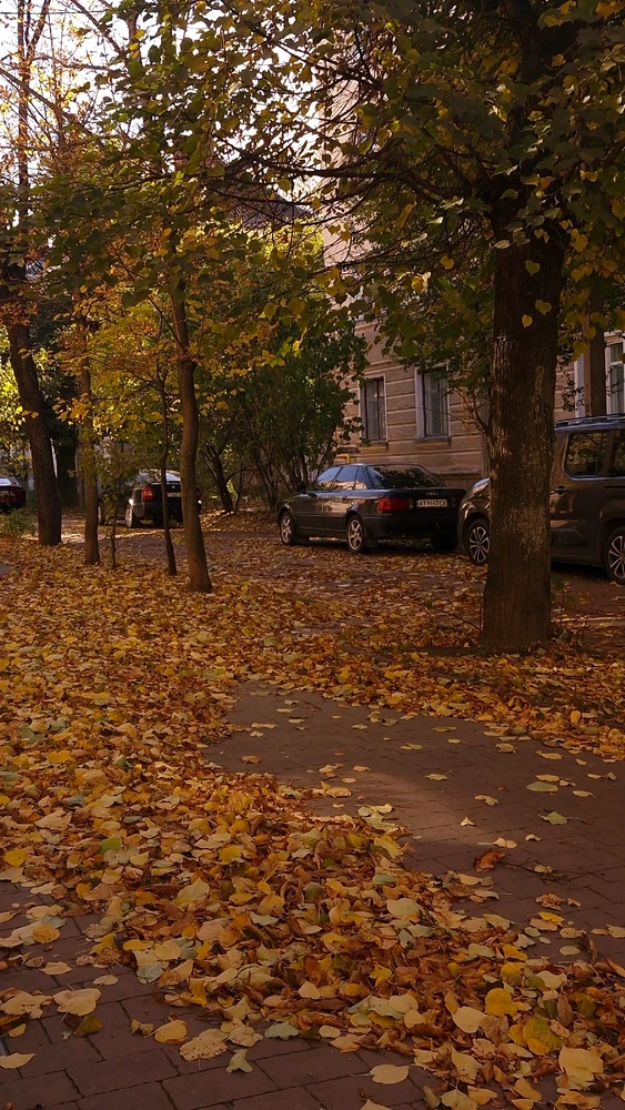 GIF gi-upload ni Maksim