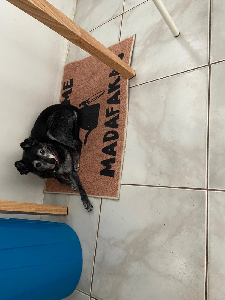 GIF dodany przez Jadzia i kazio